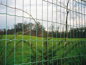 Welded Wire Euro Fence